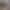 Foto van verse vis