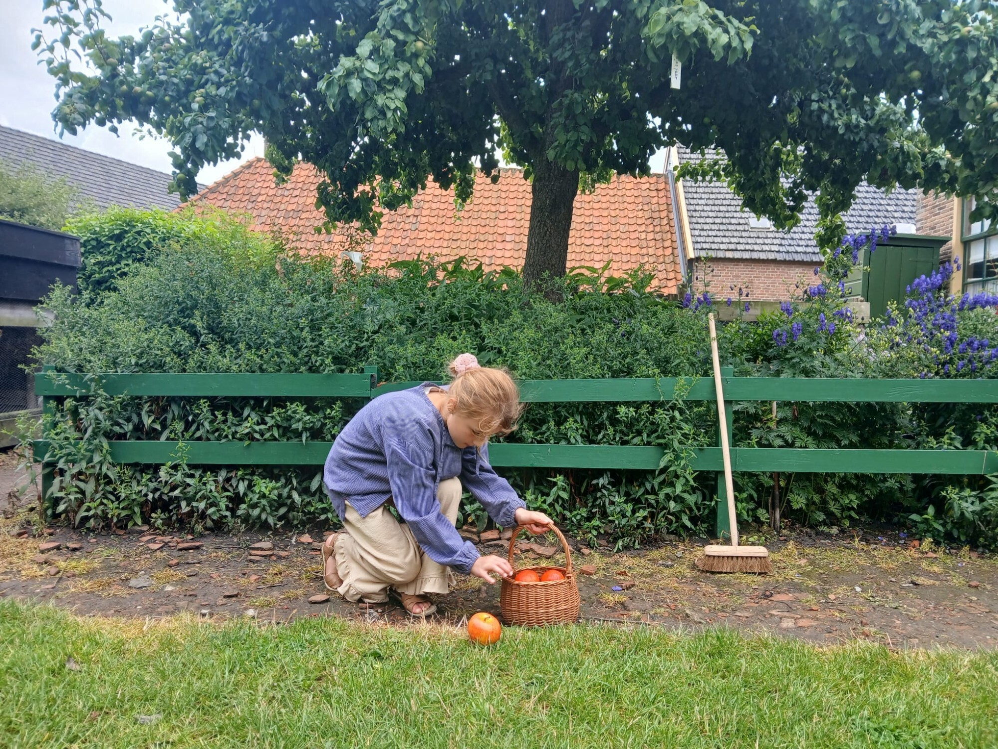 Meisje is appels aan het rapen van de grond