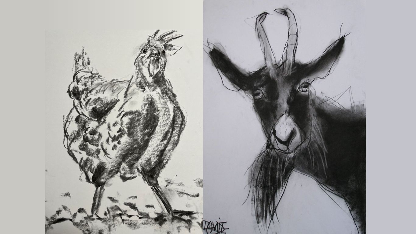 kip en geit getekend met houtskool