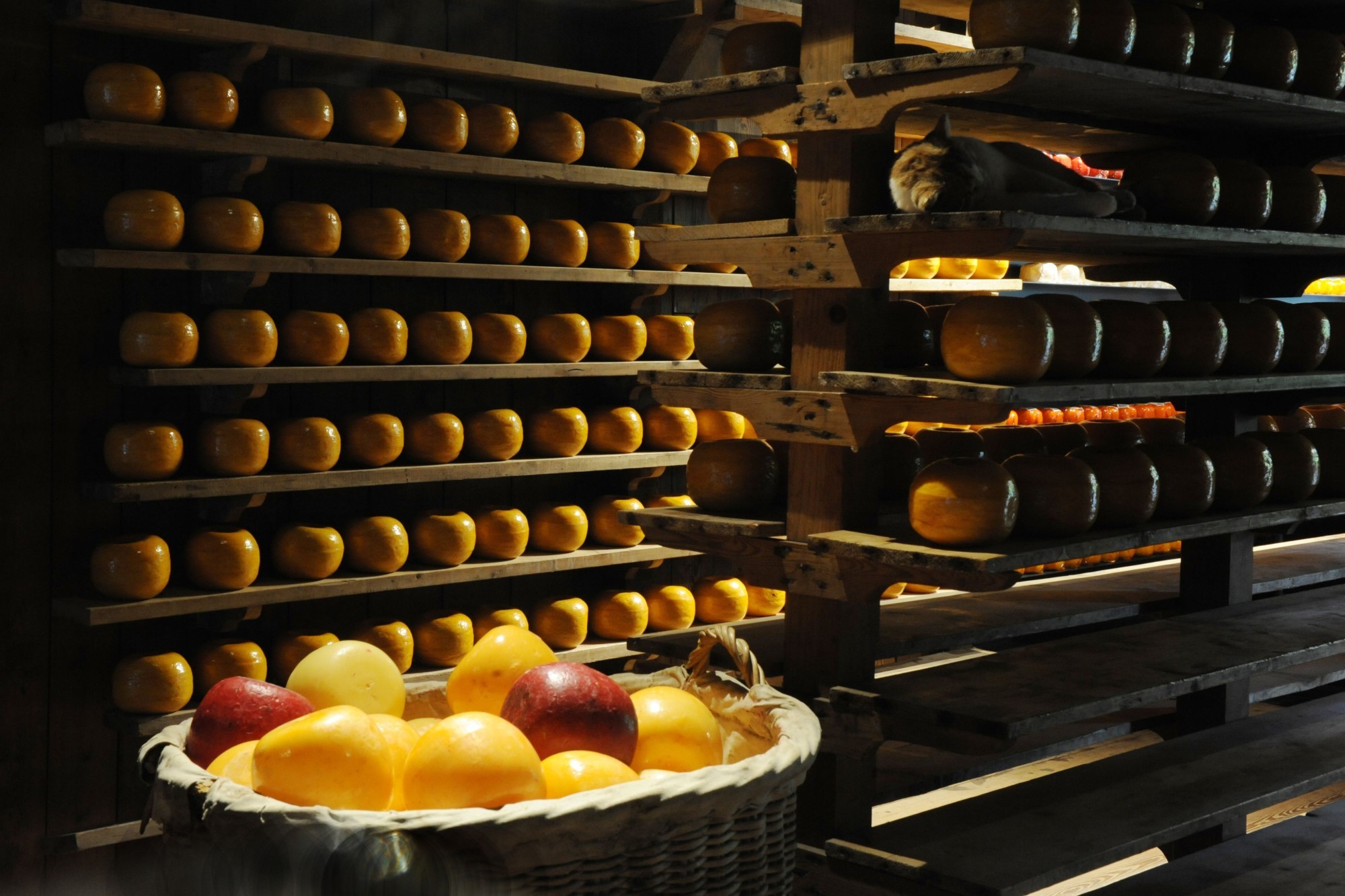 Het kaaspakhuis van binnen, houten planken liggen gevuld met kazen